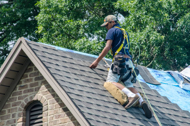 Best Shingle Roofing Installation  in Alton, IL